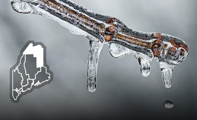 Aroostook County Maine Made