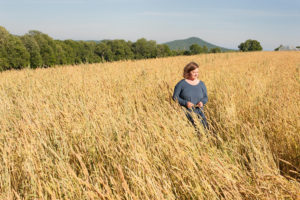 Maine Grains