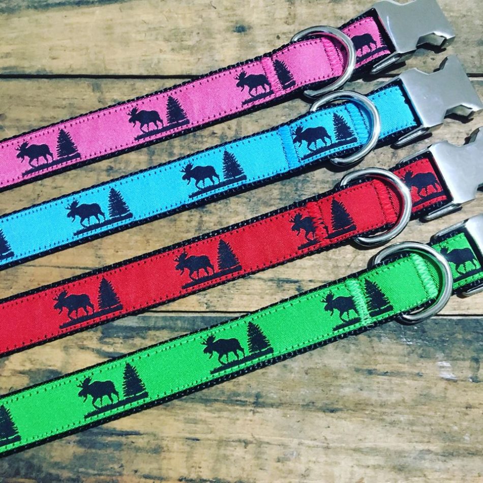 Sew Fetch Dog Collars Maine Made