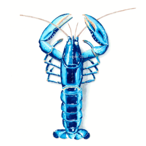 Blue Lobster