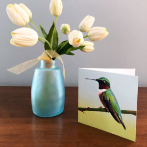 Ruby-throated Hummingbird Greeting Card